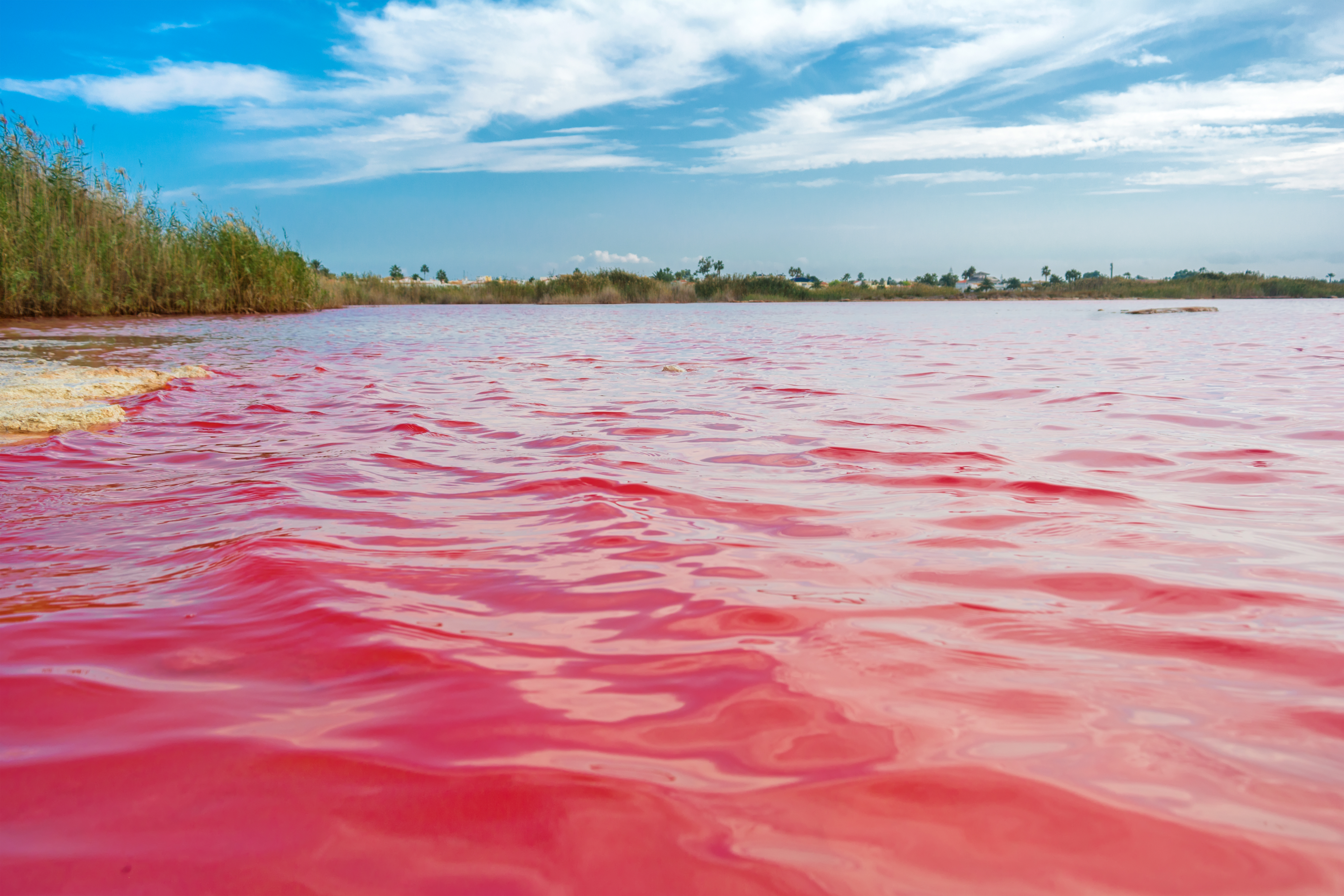 Are there really such things as pink lakes and buildings shaped like cicadas? In Alicante, there are!