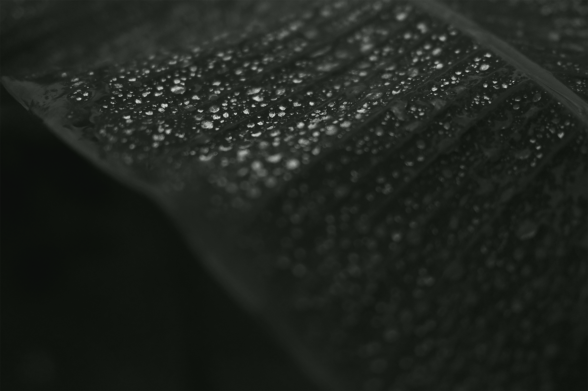 Sustainability Sapienstone