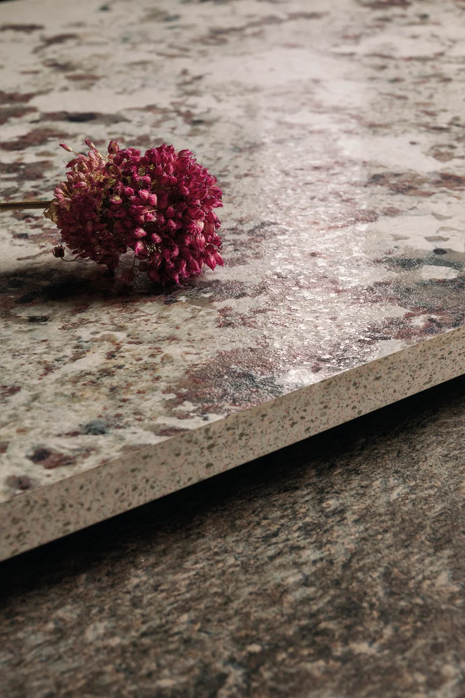 Alaska White - Fotografía 4 - 2