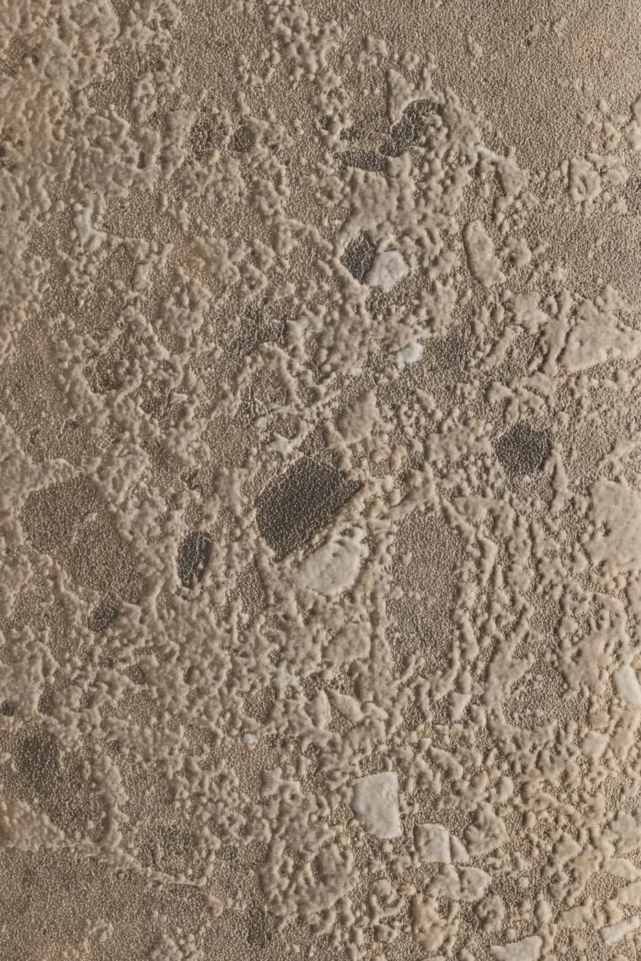 Ceppo Varese - Fotografía 3 - 4