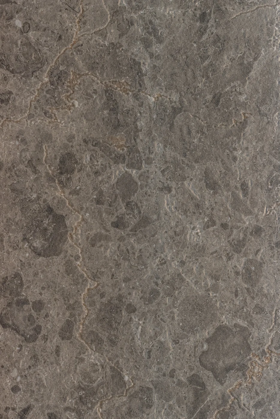 Grigio Savelli - Fotografía 4 - 5