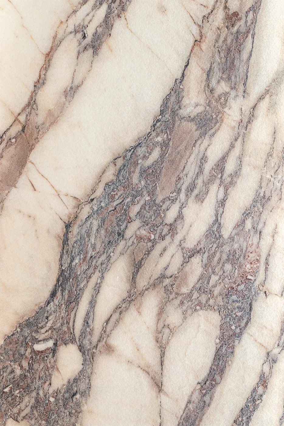 Fior Di Viola 4D - Fotografía 2 - 4